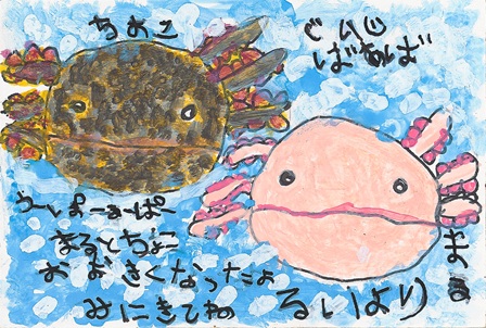 作品の画像