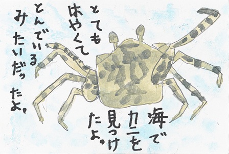 作品の画像