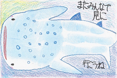 作品の画像