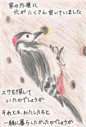 作品の画像