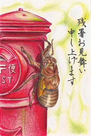 作品の画像