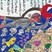 暑中見舞い賞　井藤　環