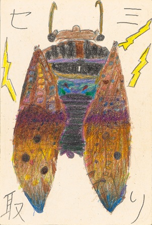 作品の画像