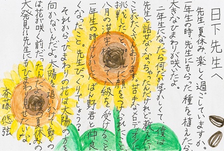 作品の画像