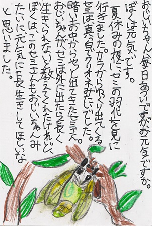 作品の画像