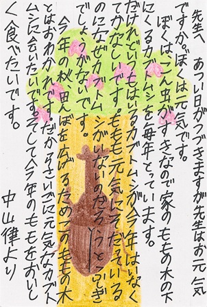 作品の画像
