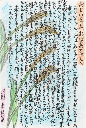作品の画像