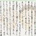 銅賞　武内　結士