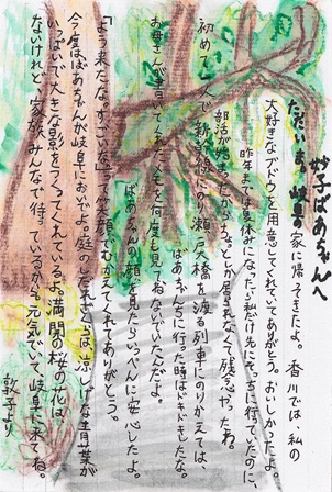 作品の画像