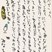 銅賞　小柴　湊