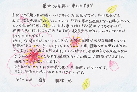 作品の画像