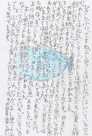 作品の画像