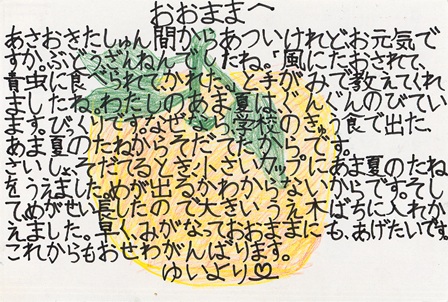 作品の画像