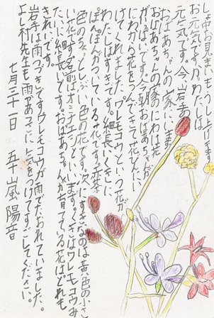 作品の画像