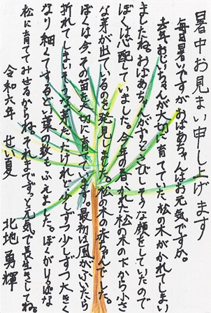 作品の画像