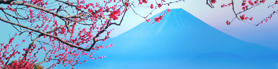 Japan Post