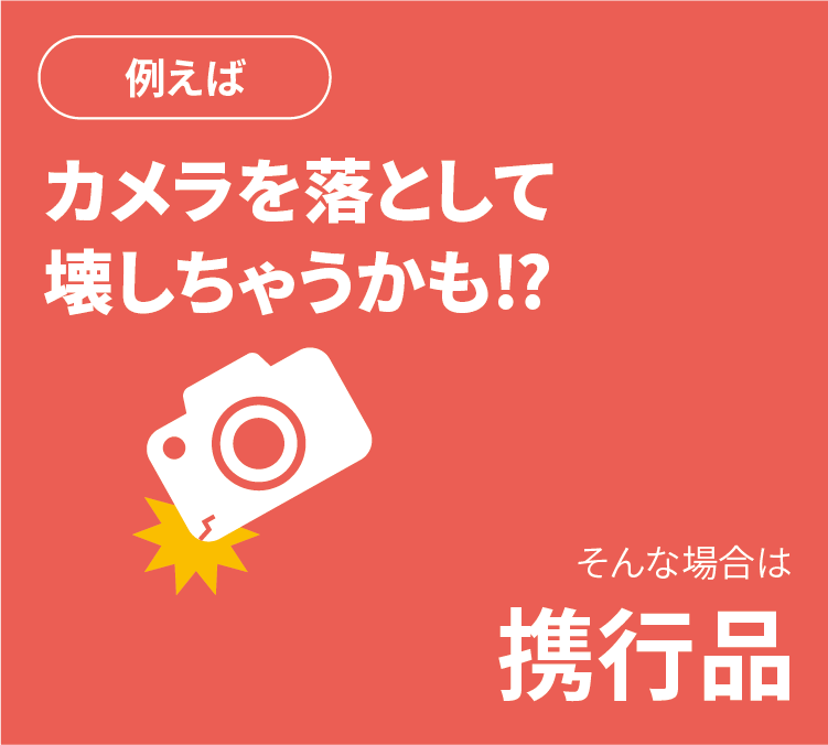 例えばカメラを落として壊しちゃうかも！？そんな場合は携行品