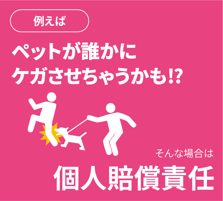 例えばペットが誰かにケガさせちゃうかも！？そんな場合は個人賠償責任